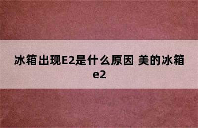 冰箱出现E2是什么原因 美的冰箱e2